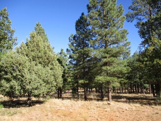 2755 Javelina Cir, Happy Jack, AZ 86024