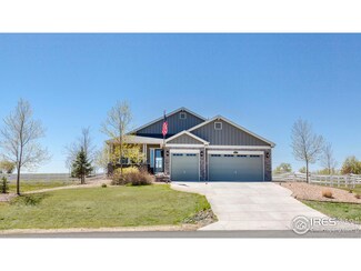 16052 Olive St, Brighton, CO 80602