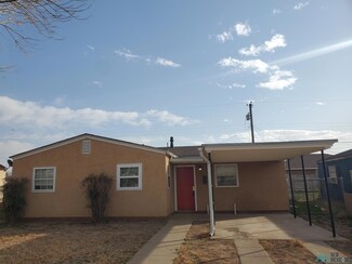1006 S Plains Park Dr, Roswell, NM 88203