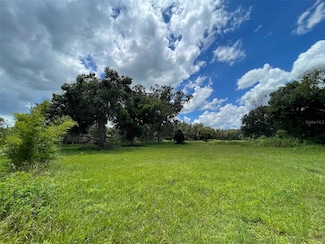 26831 Bloomfield Ave, Yalaha, FL 34797