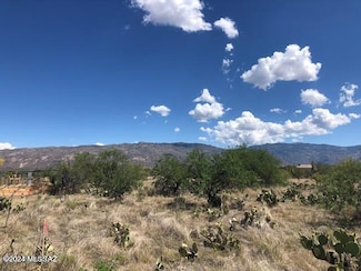 TBD S Camino Loma Alta Unit 1, Vail, AZ 85641