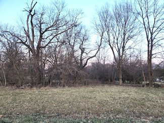 Lot 1493 Westover Dr, Lake Wildwood, IL 61375