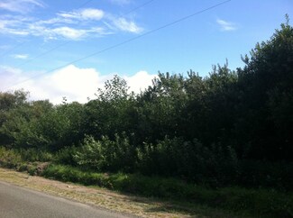 789 Grayland Beach Rd, Grayland, WA 98547