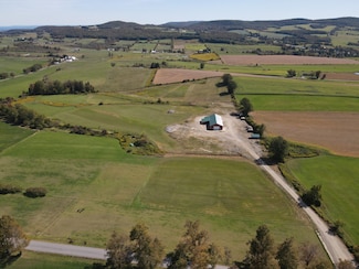 262 van Alstine Rd, East Springfield, NY 13333