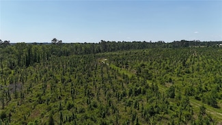 0 Deer Run Rd, Vidalia, GA 30474