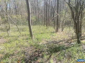 0 King Solomon Ln, Esmont, VA 22937