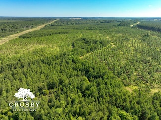 1 Georgia 297, Soperton, GA 30457
