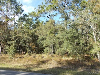 359 W Liberty St, Citrus Hills, FL 34442