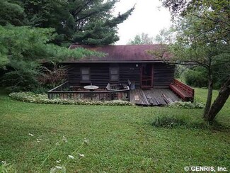 9132 Luckenbach Hill Rd, Springwater, NY 14560