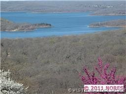 3 E Snake Creek Rd, Cookson, OK 74427