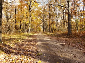 V/L Gopher Trail Unit 40 Acres, Baldwin, MI 49304