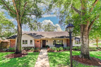 10047 Briar Rose Dr, Houston, TX 77042