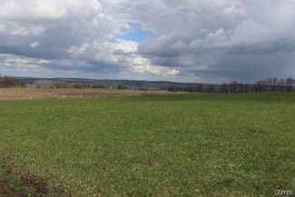 000 Stanton Rd, Spafford, NY 13152