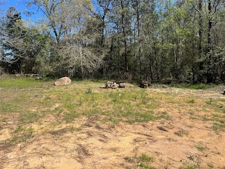7303 Circle Dr, Montgomery, TX 77356