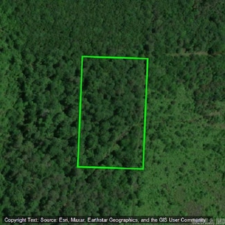 5 acres Arkansas 29, Bradley, AR 71826