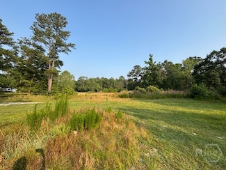 499 Log Landing Cir, Springfield, GA 31329