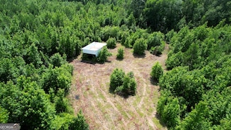2131 Grey Land Rd, Greensboro, GA 30642
