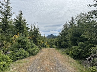 0 Sugarloaf Rd Unit 23320871, Seaside, OR 97138