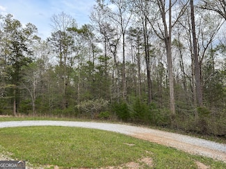 0 Crows Nest Point Unit 10523051, Elberton, GA 30635