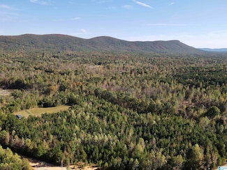 7070 Rendalia Motorway, Talladega, AL 35160