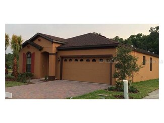 11023 Tortola Isle Way, Tampa, FL 33647