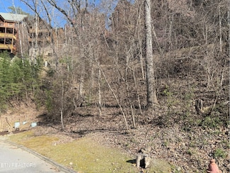 0 Black Bear Cub Way Unit 1293547, Sevierville, TN 37862