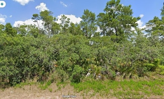 2912 Lake Josephine Dr, Sebring, FL 33875