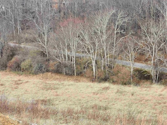 5254 Country Meadow Dr, Dublin, VA 24084