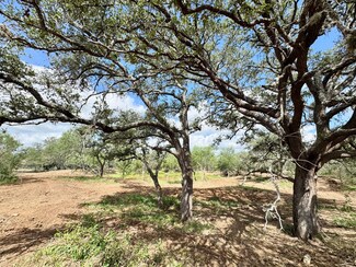 Tbd County Road 171, Nixon, TX 78140