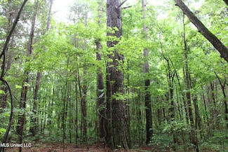 600 Jessie's Rd, Michigan City, MS 38647