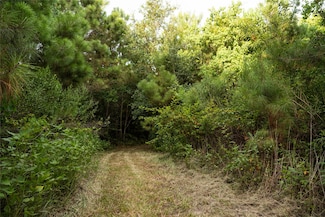 TBD Barrow-White Rd, Anahuac, TX 77514