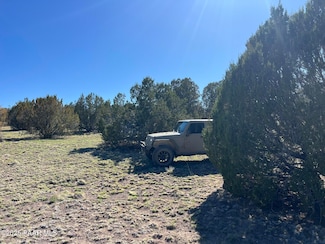 1364 Last Chance Rd, Seligman, AZ 86337