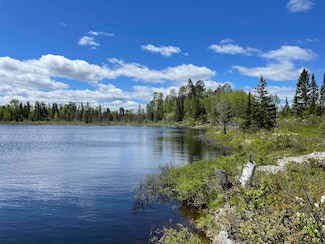 XXXX Murray Forest Rd, Breitung Township, MN 55731