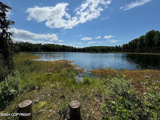 B005 Private Rd, Willow, AK 99688