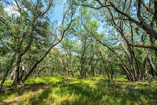 Lot 4 King Rail Ln, Edisto Island, SC 29438