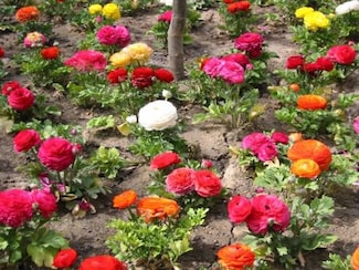 1235 Hathaway Dr, Sycamore, IL 60178