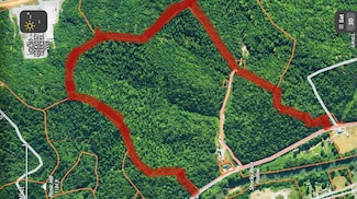 101 Shucky Bean Hollow Rd, Jackson, KY 41339