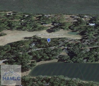 .50 AC Hidden Lagoon Ln NE, Townsend, GA 31331