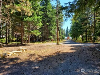 110 Poplar Ln, Ronald, WA 98940