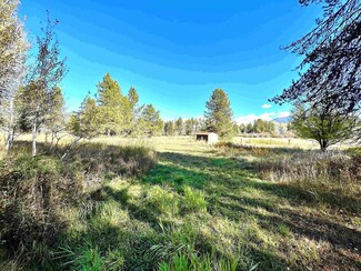11 Needles Dr, Cusick, WA 99119