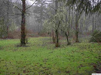 48710 Santiam Hwy, Cascadia, OR 97329