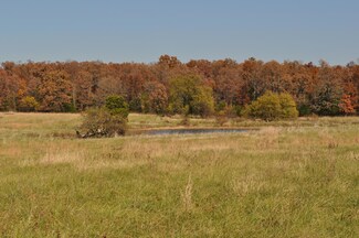 5615 Highway Jj, Walnut Grove, MO 65770