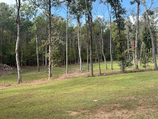 287 Zoe Ln, Clinton, AR 72031