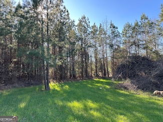 012 Mount Zion Rd, Gordon, AL 36343