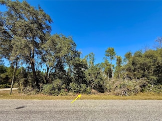 LOT 11 Tulip Ave, Eustis, FL 32736