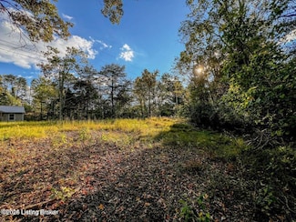 1 Scotts Chapel Rd, Jamestown, KY 42629