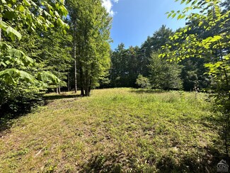 92 Old Stonewall Rd, Hannacroix, NY 12087