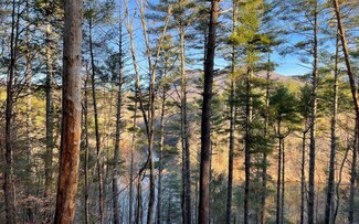 52&53 Hidden Lake Ct, Cherry Log, GA 30522