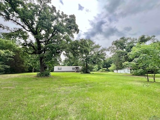 95 Montgomery St, Avinger, TX 75630