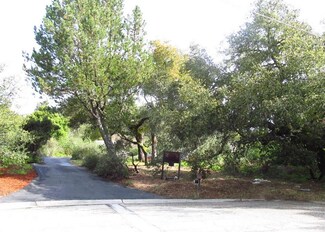 311 Kessler Dr, Ben Lomond, CA 95005